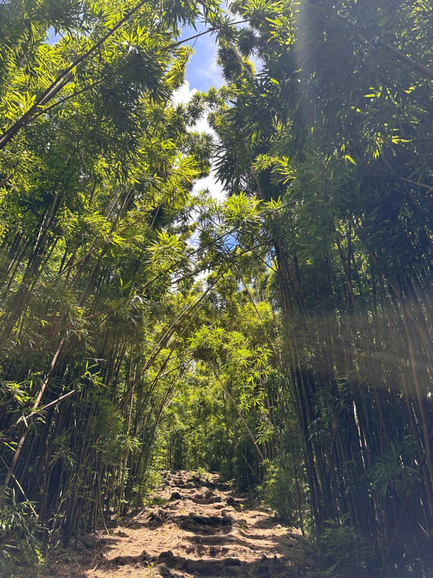 Embark On A Journey Through Maui With Aloha Glamp'S Jeep And Rooftop Tent Allows You To Discover Diverse Campgrounds, Unveiling The Island'S Beauty From Unique Perspectives Each Day Paia Exterior foto