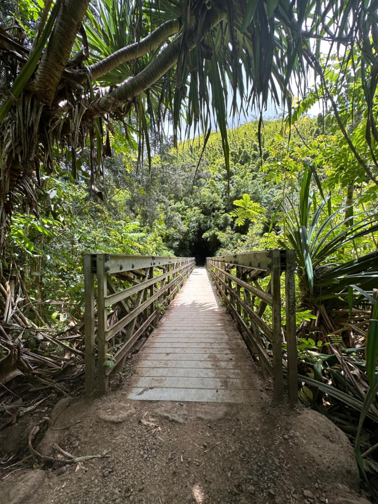 Embark On A Journey Through Maui With Aloha Glamp'S Jeep And Rooftop Tent Allows You To Discover Diverse Campgrounds, Unveiling The Island'S Beauty From Unique Perspectives Each Day Paia Exterior foto